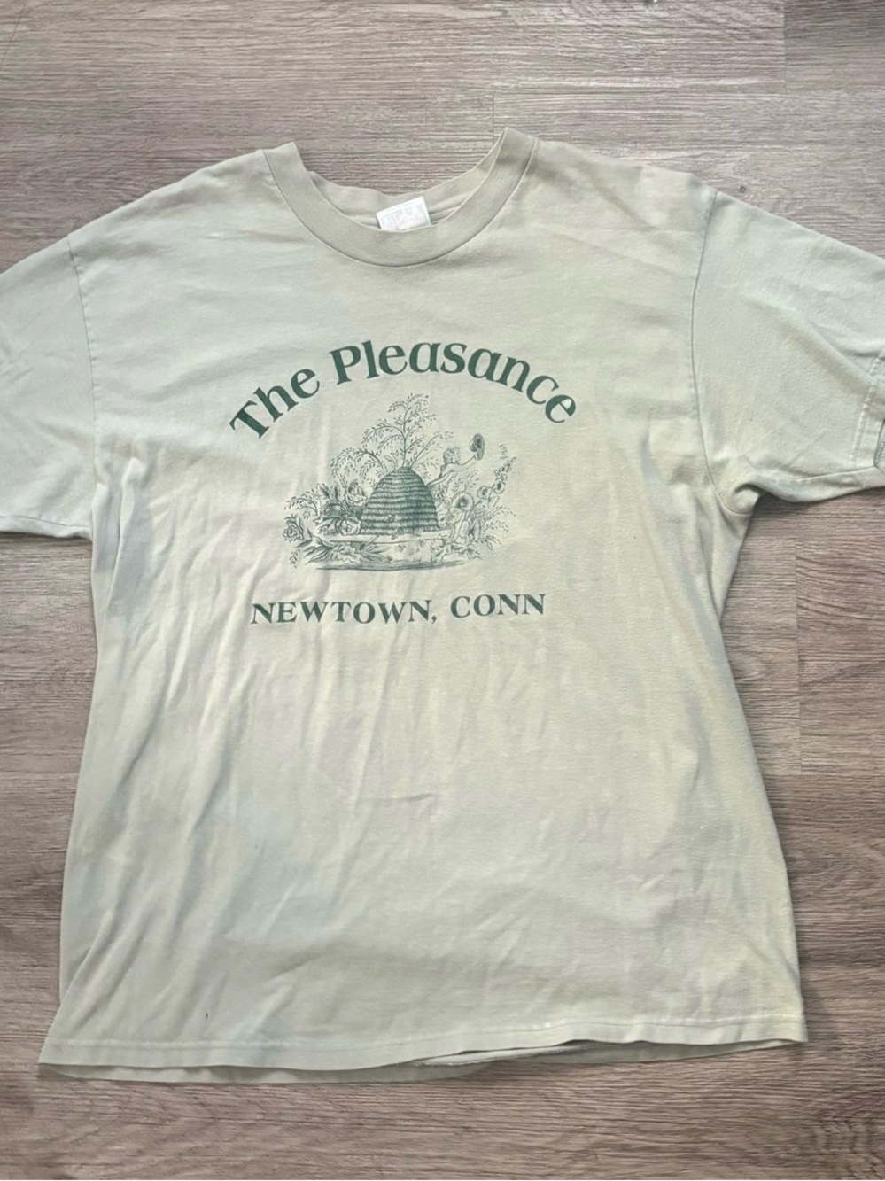 vintage "The Pleasance, Newtown, Conn." graphic t-shirt.
